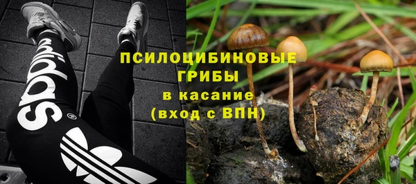 бошки Алексеевка