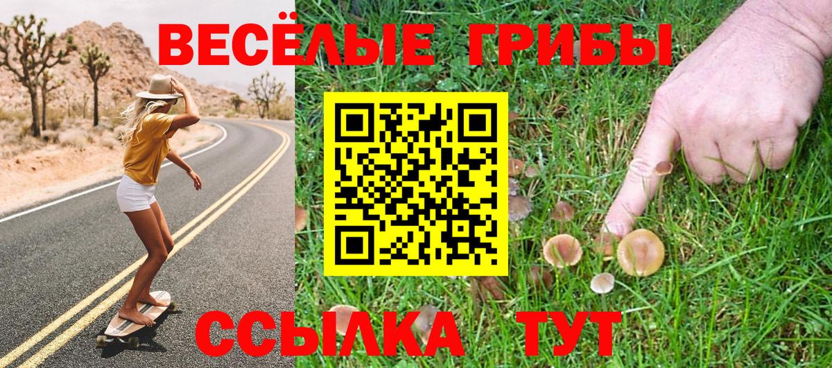 Камышлов  Псилоцибиновые грибы Psilocybine cubensis  Вход с VPN  Псилоцибиновые грибы ЛСД 
